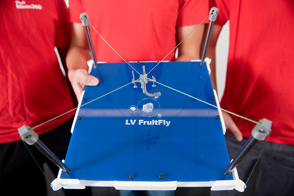 Engineering Protype for LV Fruitfly