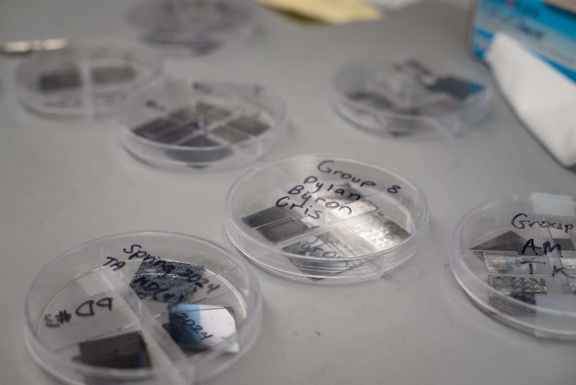 Several petri dishes containing microchips labeled by group name