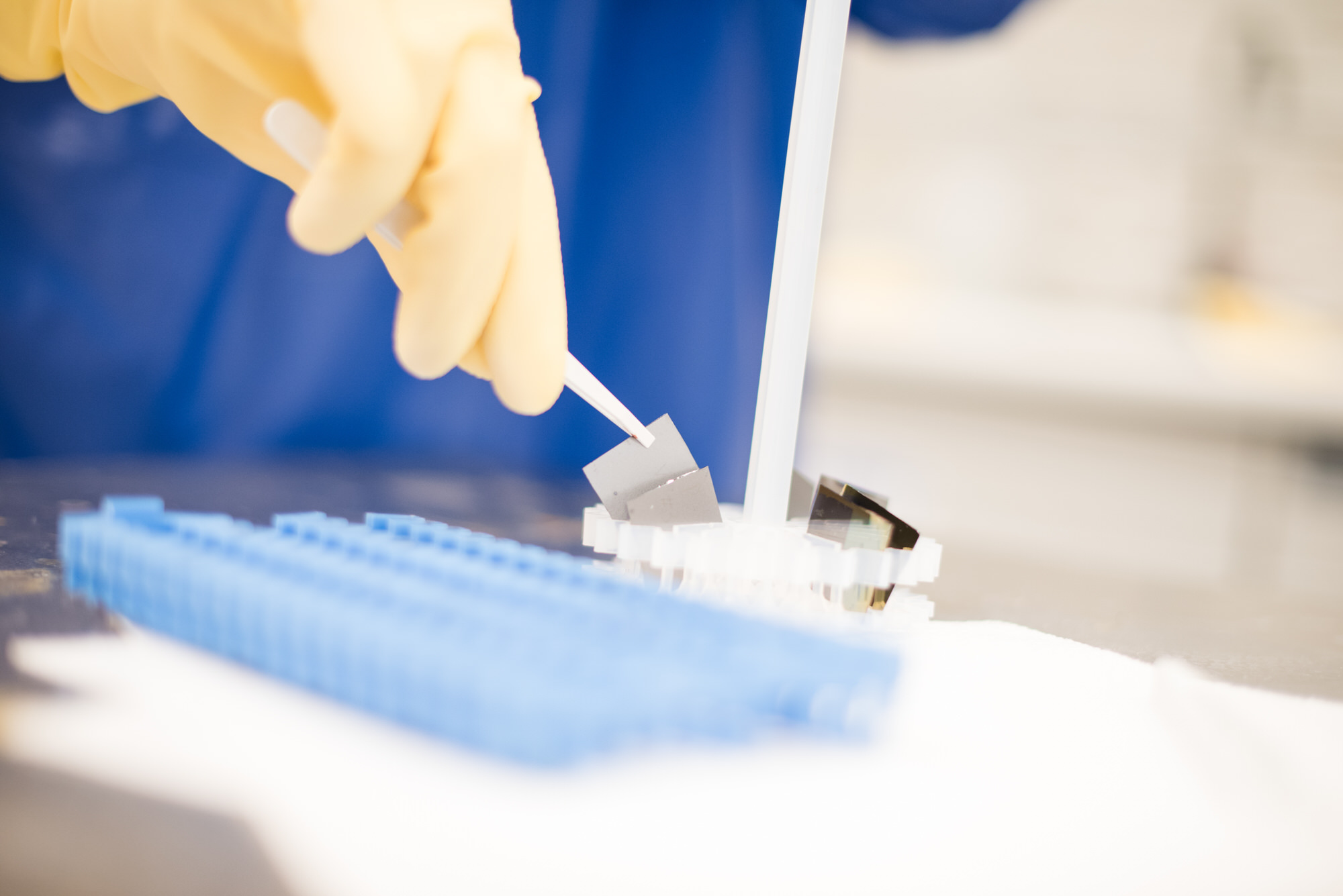 Gloved hands holding microchips with a pair of tweezers