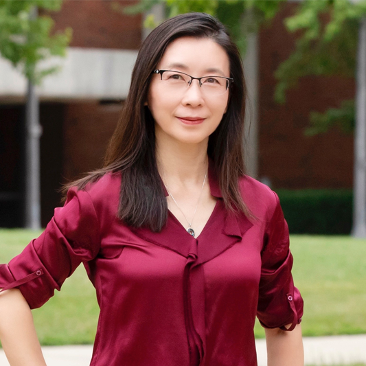 Texas Engineer Xiuling Li