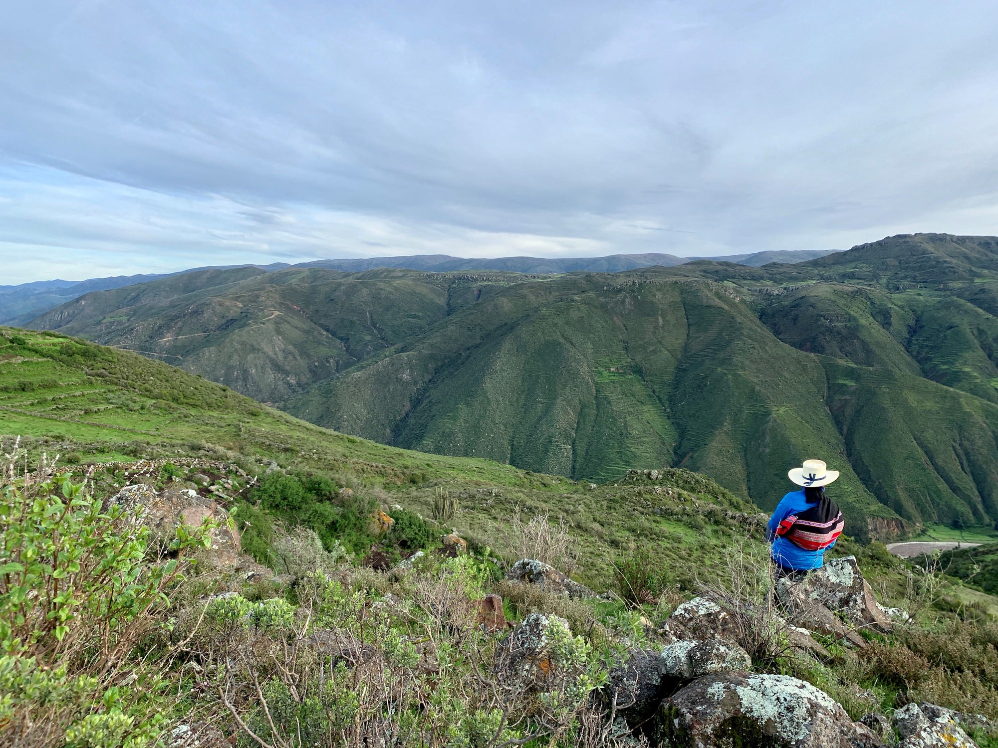 Vargas overlooks her hometown with rolling green hills