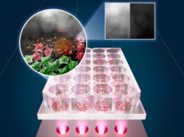 Graphic of NIR LED system